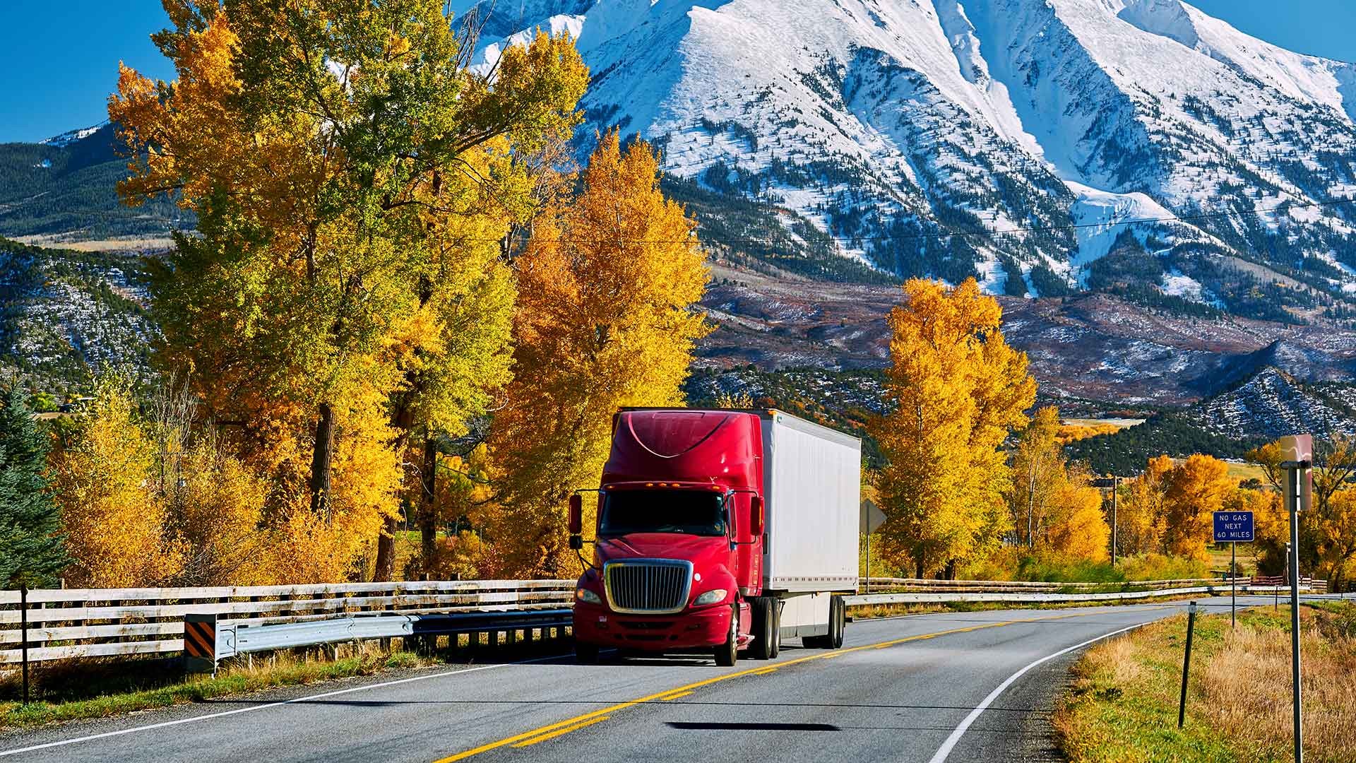 Dispatching or not – this is the question
